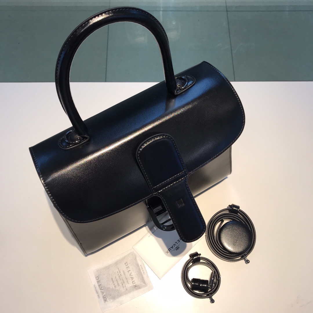 델보 브리앙 박스백 미듐